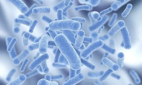 bakterije v človeškem telesu