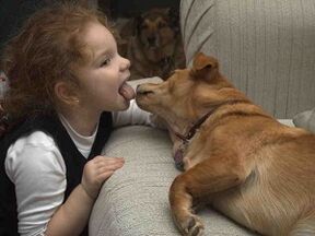 otrok poljubi psa in se okuži s paraziti